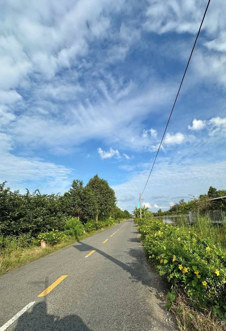 Đất mặt tiền lộ nhựa 992m² tại Thị trấn Thới Lai, Cần Thơ - Giá chỉ 1.45 tỷ!