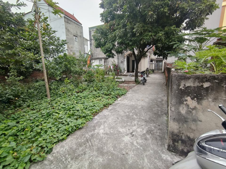 Đất thổ cư Đặng Xá, Gia Lâm 46m² giá 3.45 tỷ - Sổ đỏ chính chủ!