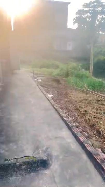 Bán đất thổ cư tại thôn Tiên Bá - Quỳnh Thọ 190m² - Vị trí đẹp, sẵn sàng ở ngay!