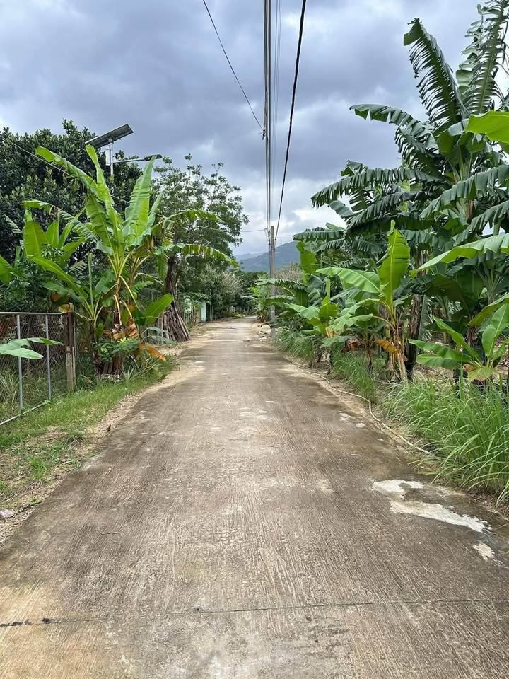 Đất thổ cư Suối Cát, Cam Lâm 426m² giá 1.6 tỷ - Lô đất lý tưởng cho nhà vườn!