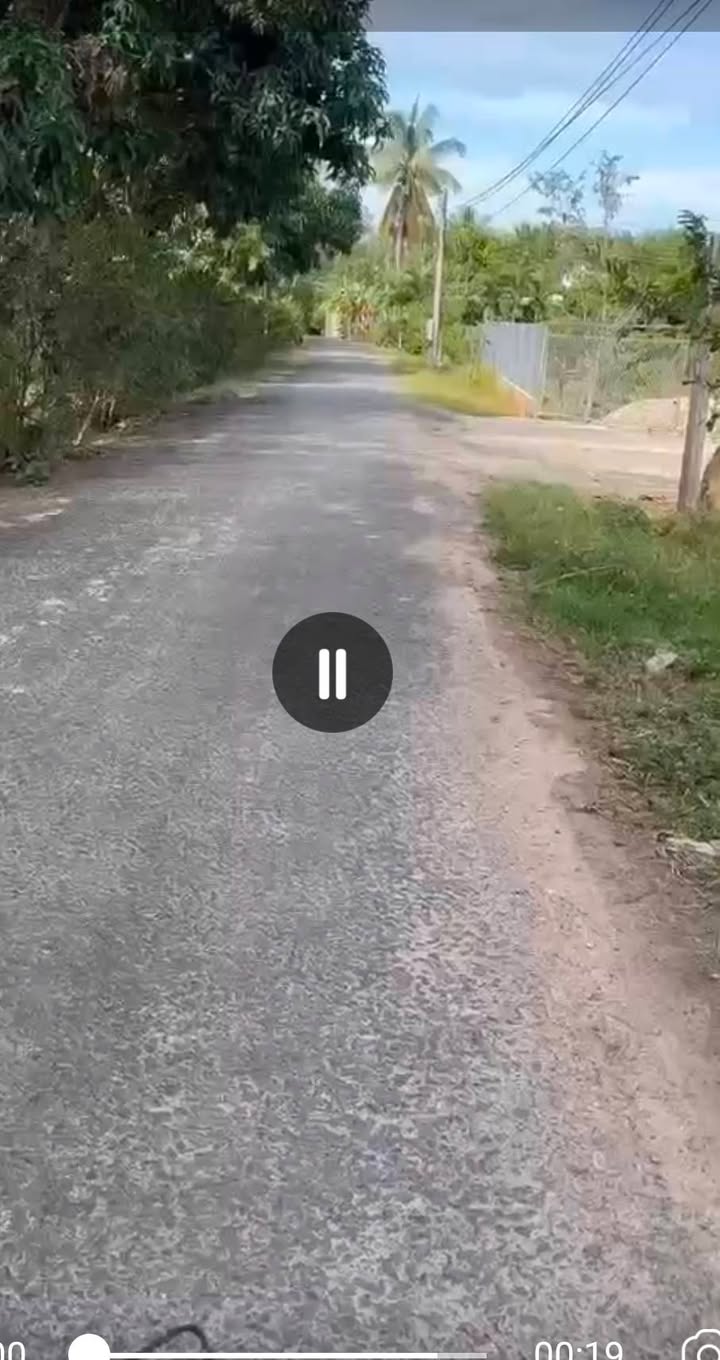 Đất nền Tân Biên Tây Ninh 1500m² giá 1.2 tỷ - Tiện ích đầy đủ, dân cư đông đúc!