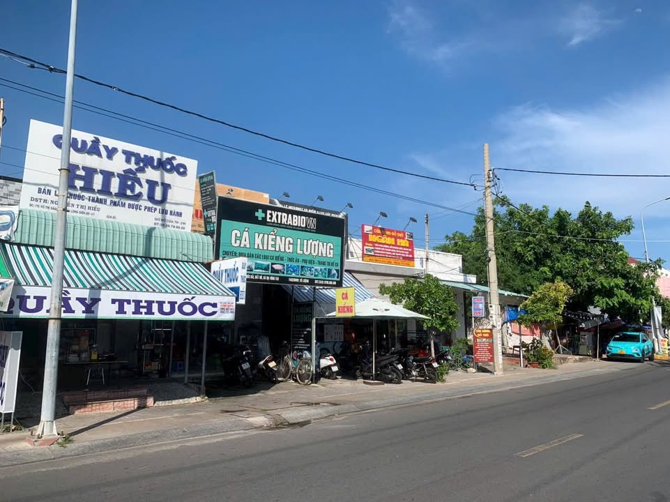 Mặt tiền kinh doanh Võ Thị Sáu, Long Hải 364.3m² giá 15.9 tỷ - Đầu tư sinh lời cao!