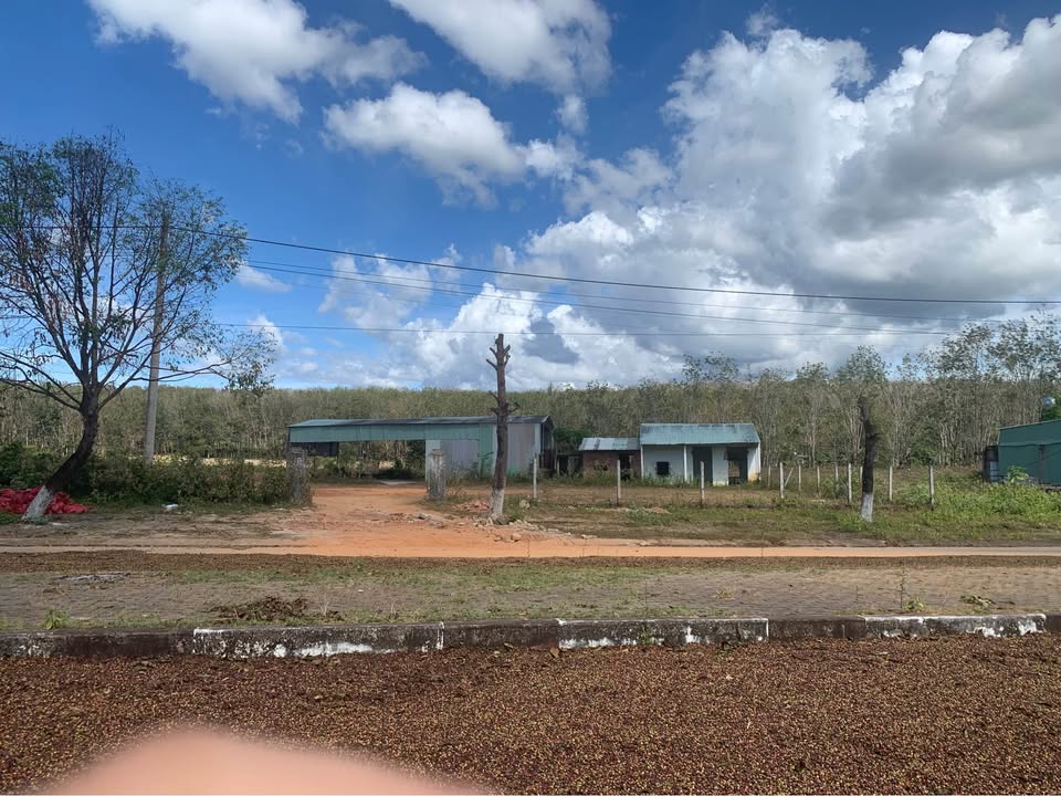 Đất nền Ngọc Hồi 875m² giá 1.65 tỷ - Phù hợp làm kho bãi hoặc trạm cân!