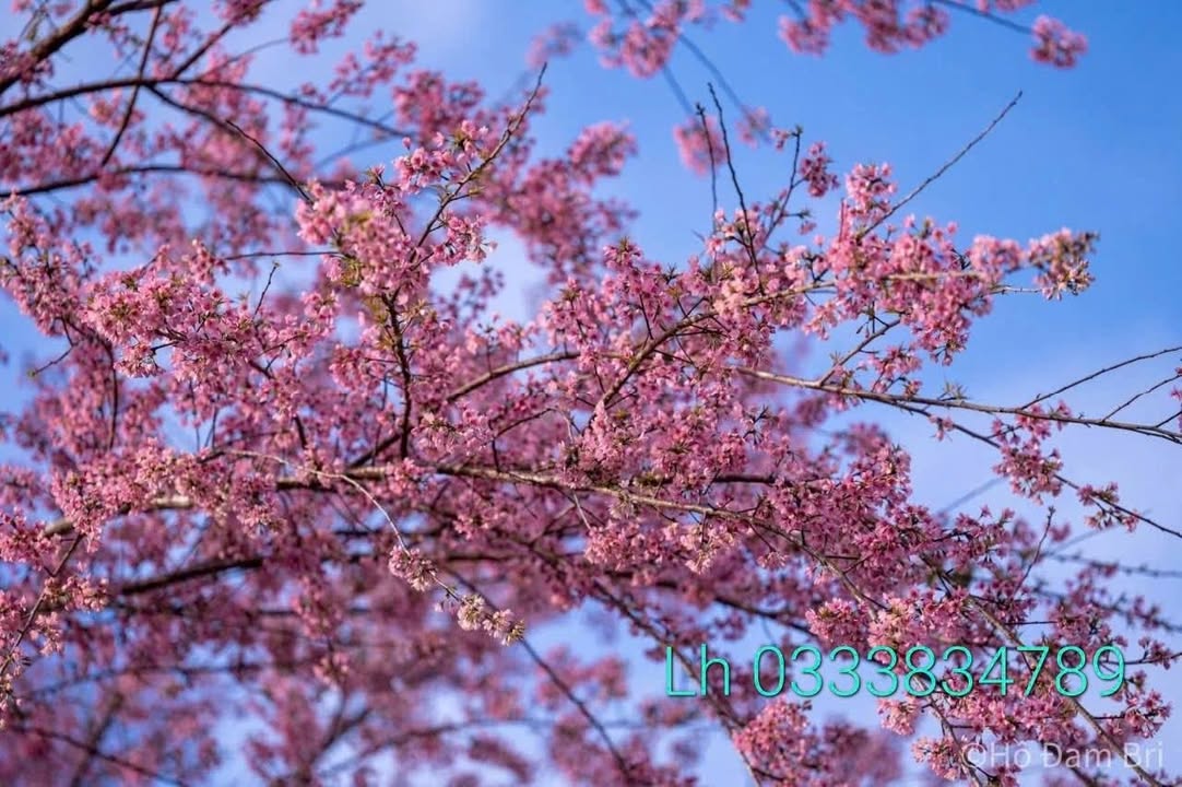 Đất nền Hẻm 994 đường Phan Đình Phùng, Biên Hòa 64m² giá 7xx triệu - Đầu tư sinh lời hấp dẫn!