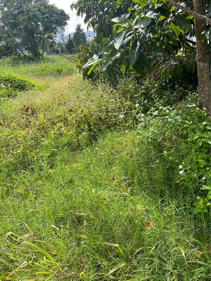 Đất thổ cư 132m² Lộc Thành Bảo Lâm giá 750 triệu - Thương lượng ngay!