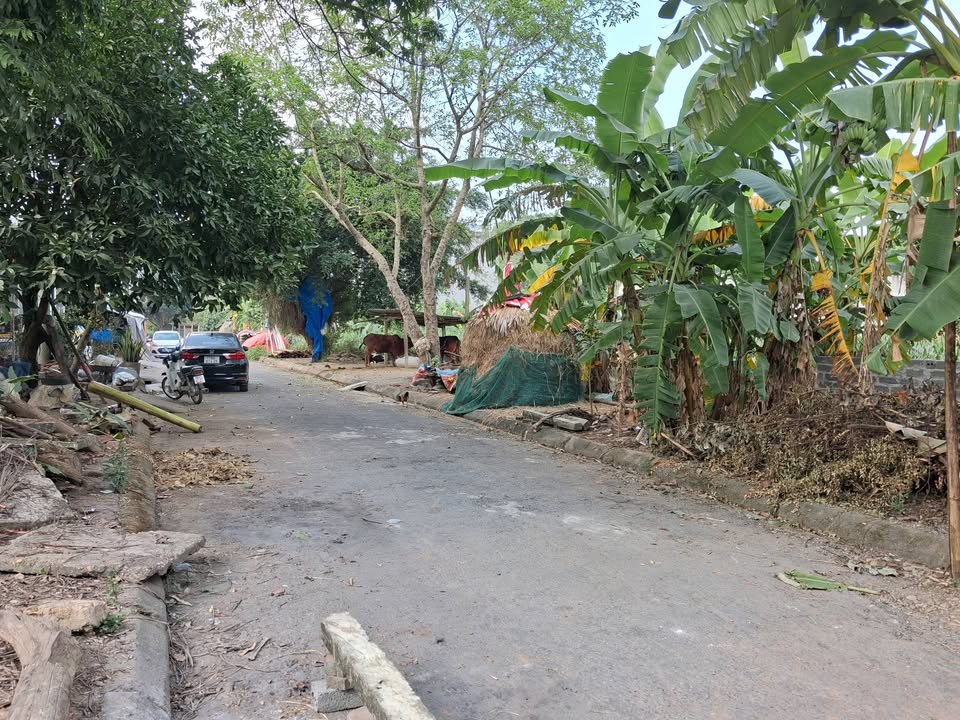 Đất thổ cư Vân Phú, Việt Trì 300m² giá 3 tỷ - Đầu tư sinh lời ngay!