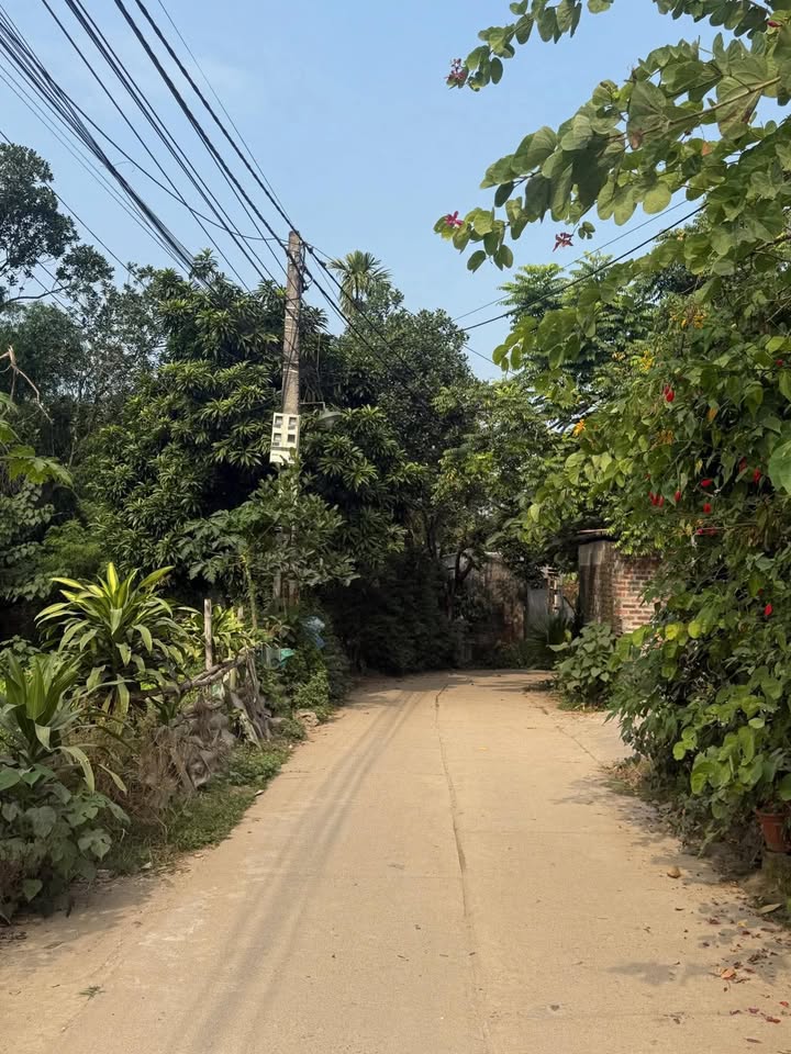 Đất nền Quyết Thắng, Thái Nguyên 3200m² chỉ 1.5 tỷ - Cơ hội đầu tư lý tưởng!