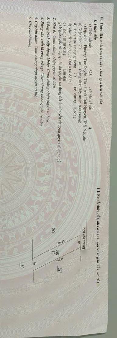 Lô đất Phan Đình Phùng, Thái Nguyên 70m² giá 1 tỷ - Đầu tư sinh lời hấp dẫn!