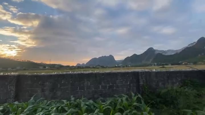 Đất nông nghiệp Hạ Long 3000m² giá thỏa thuận - Tiềm năng phát triển lớn!