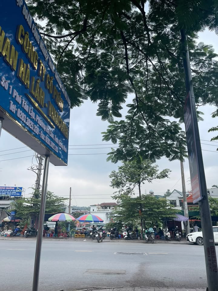 Đất nền 55m² mặt đường Đường 336, Phường Hà Lầm - Cơ hội đầu tư sinh lời!