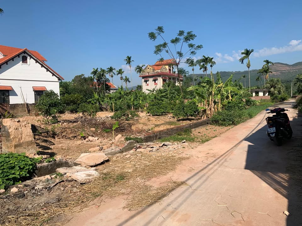 Đất nền An Sinh Đông Triều 100m² giá 300 triệu - Cơ hội đầu tư hấp dẫn!