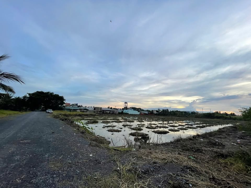 Đất nền 1.2ha Bình Lợi, Bình Chánh 12.000m² giá 35 tỷ - Tiềm năng đầu tư lớn!