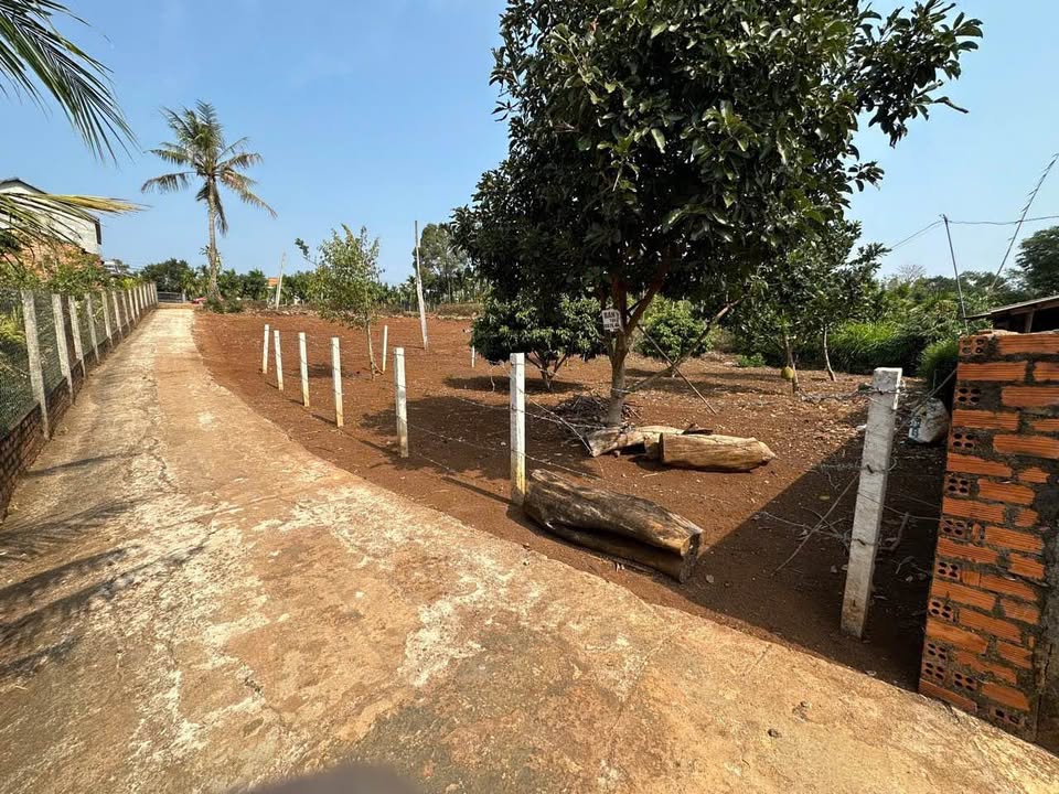 Đất thổ cư Ea Ktur, Cư Kuin 312m² giá 520 triệu - Cơ hội đầu tư hấp dẫn!