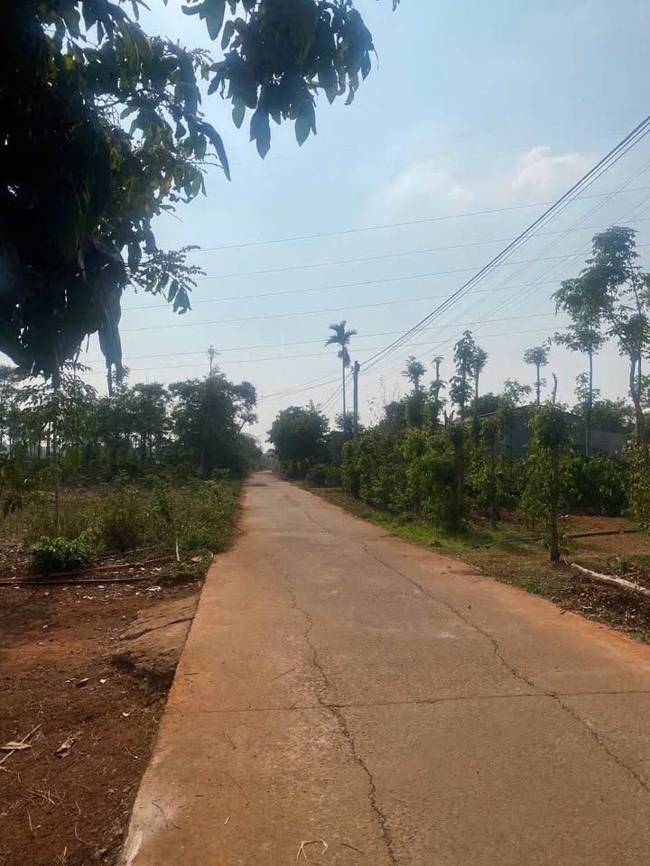 Đất nền Cư Suê, Cư M'gar 119m² giá 399 triệu - Vị trí đẹp, tiện lợi!