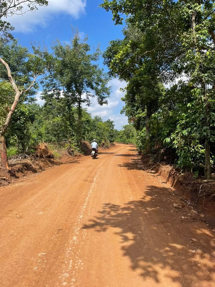 Đất nền Cư Suê 1700m² giá 675 triệu - Đầu tư sinh lời ngay!