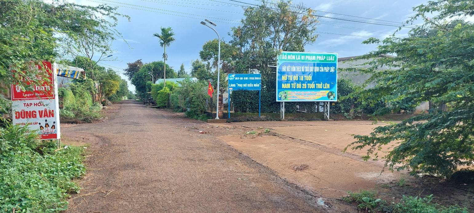 Đất mặt tiền Nguyễn Bá Lại, An Phú, 240m² giá 600 triệu - Cơ hội đầu tư tuyệt vời!