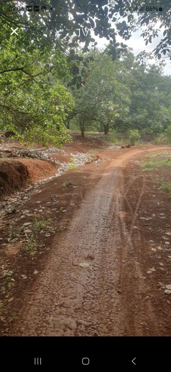 Đất nền Đồng Tiến 28.000m² giá 3.5 tỷ - Sổ đỏ chính chủ, đường rộng thuận lợi!