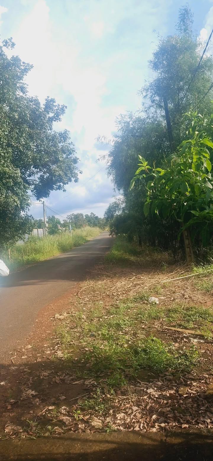 Đất nền Tiến Thành, Đồng Xoài 50m² giá chỉ 9xx triệu - Bán gấp trong tuần!