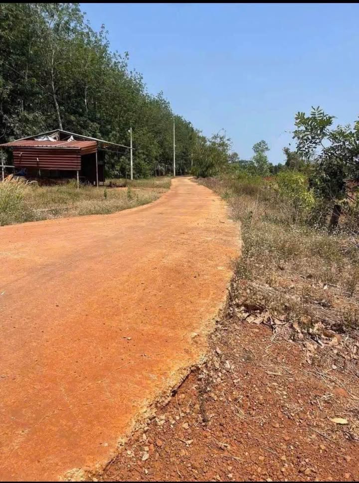 Đất nền Tiến Thành, Đồng Xoài 500m² giá 300 triệu - Cơ hội đầu tư tuyệt vời!