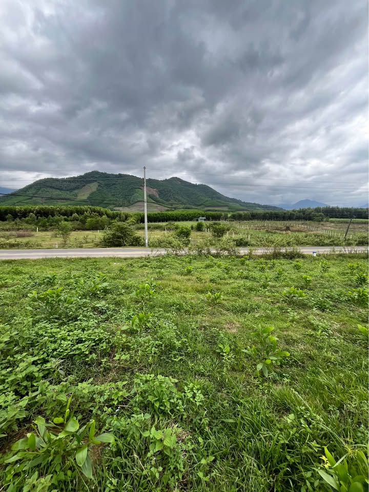 Đất nền mặt đường Hương Lộ 62, xã Diên Thọ 5000m² - Cơ hội đầu tư tuyệt vời!