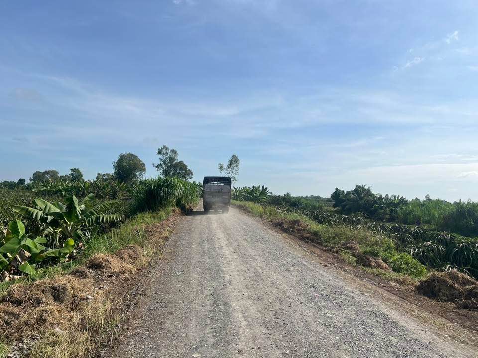 Đất thổ cư 200m² An Lục Long, Châu Thành, Long An giá 380 triệu - Đầu tư sinh lời ngay!