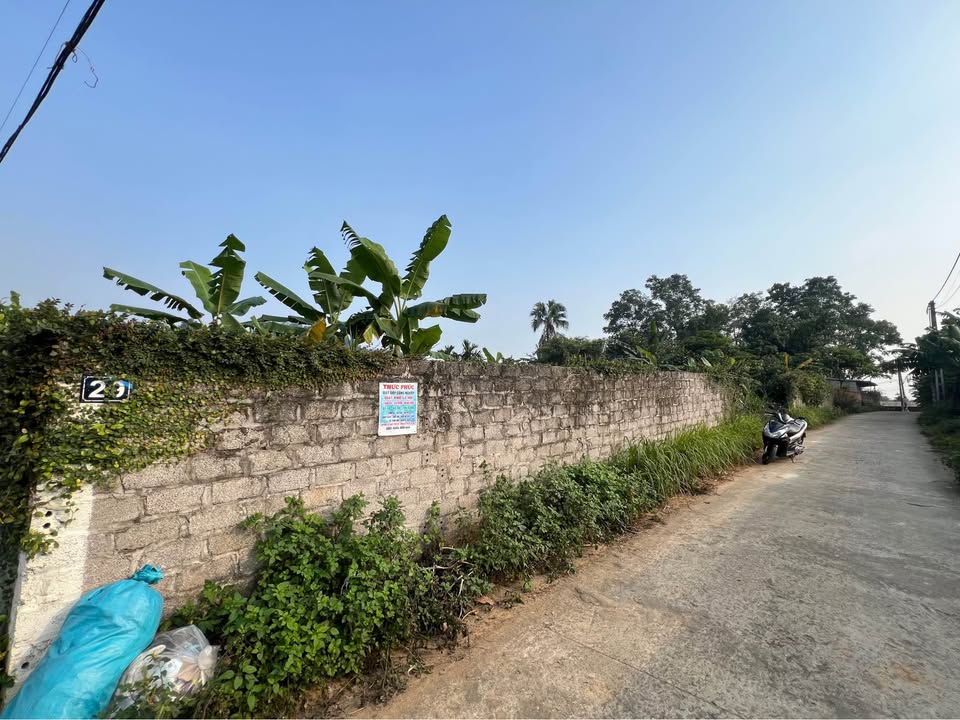 Đất nền Yên Bài Ba Vì 1290m² - Đầu tư nghỉ dưỡng lý tưởng!