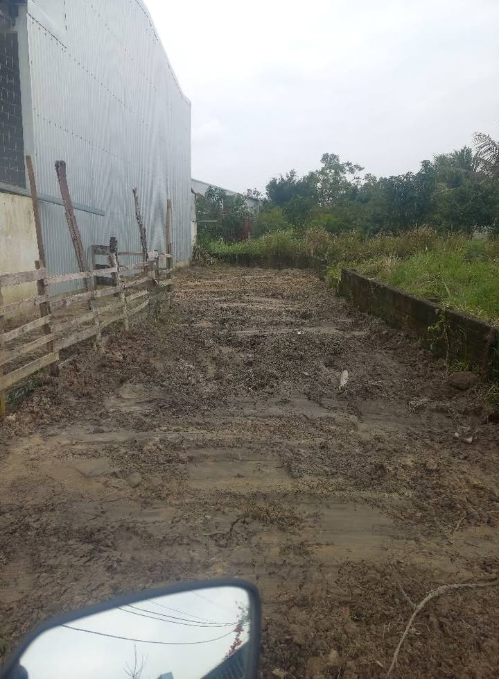 Đất nền Hòa Quý Đà Nẵng 100m² giá 1.95 tỷ - Vị trí đắc địa gần làng đại học!