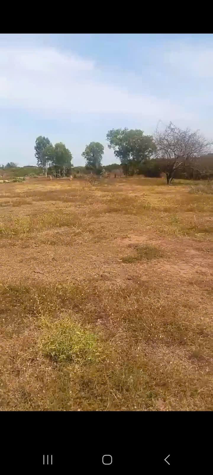 Đất nền 2000m² Cần Thạnh, Cần Giờ giá 12 tỷ - Đầu tư sinh lời ngay!