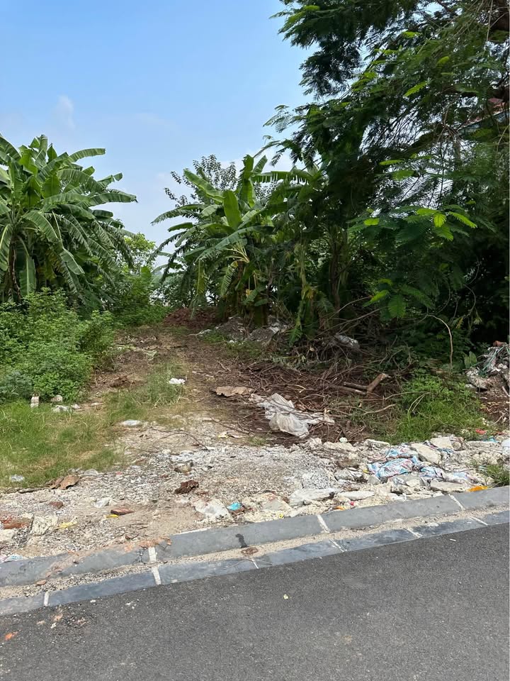 Đất nền Võng La Đông Anh 52m² giá mềm - Đầu tư sinh lời ngay!