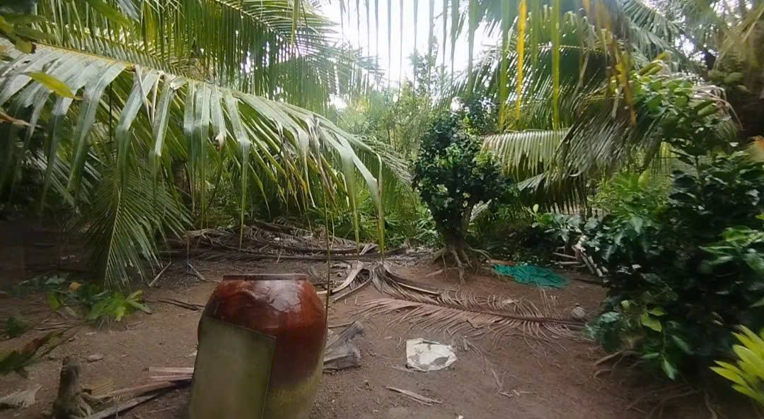 Đất nền 2109m² tại ấp Quới Hưng, Bến Tre - Giá chỉ 3.5 tỷ, sổ đỏ chính chủ!