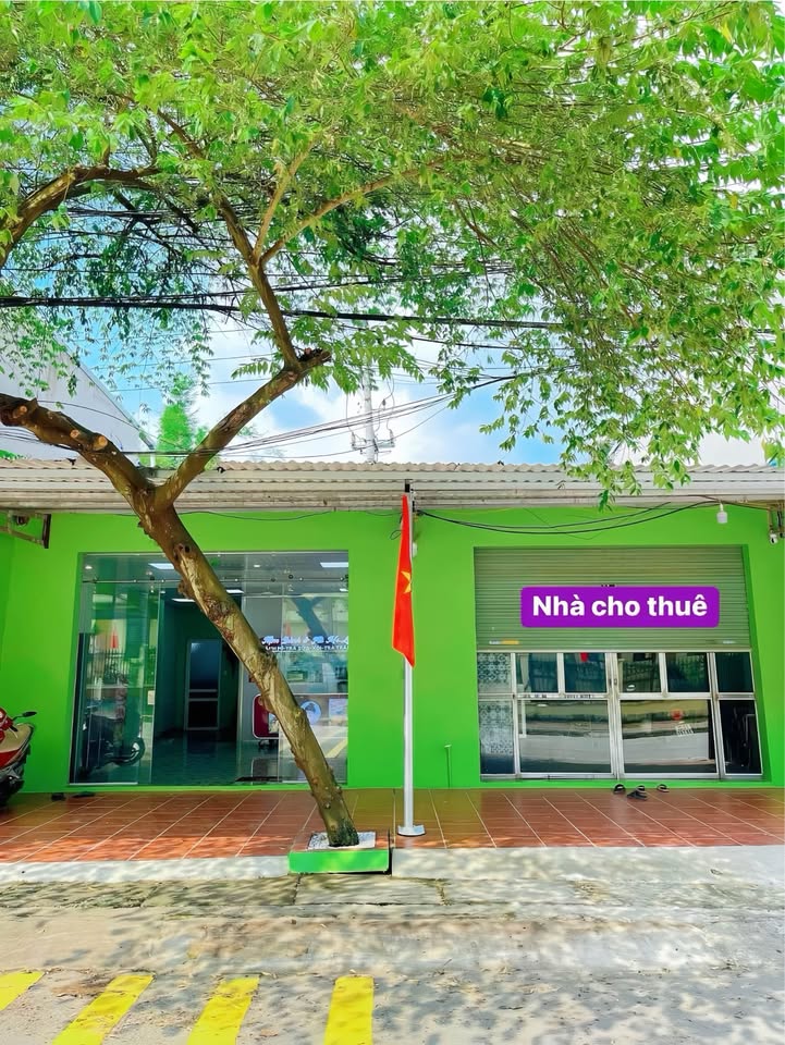 Nhà cho thuê mặt phố Thái Nguyên 100m² - Gần trường học và chợ Đán!