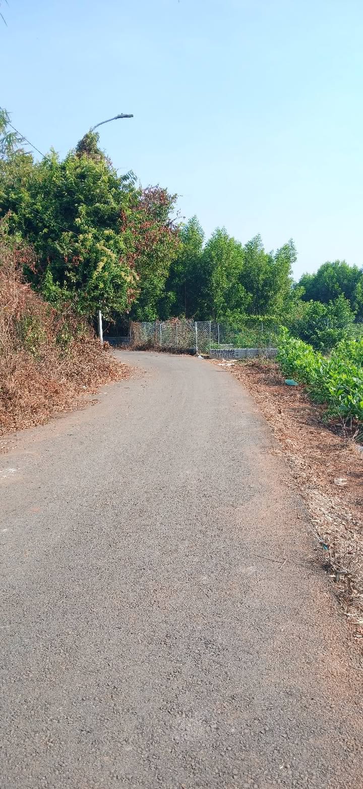 Đất nền Hương Lộ 3, Bà Rịa - 330m² giá chỉ 1.59 tỷ - Cơ hội hiếm cho nhà vườn!