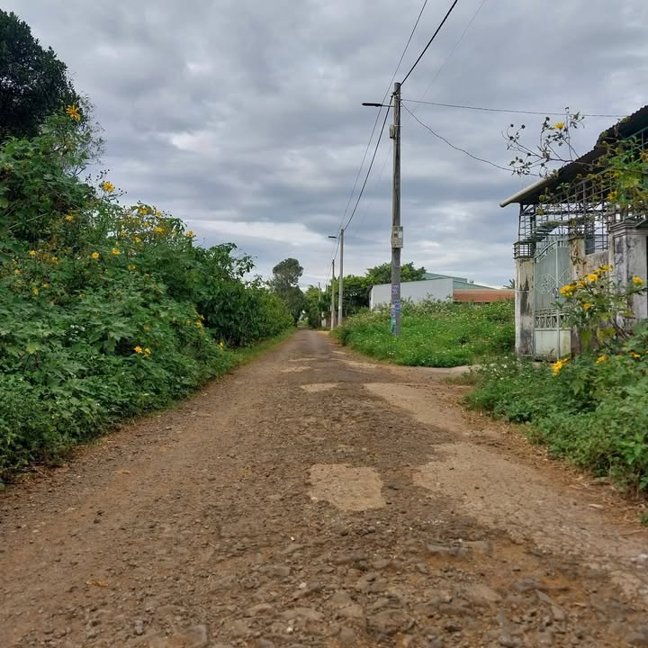 Đất nền Mạc Thị Bưởi, An Phú, 100m² giá 700 triệu - Đầu tư lý tưởng!