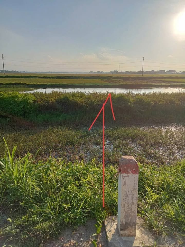 Đất nền chính chủ Thiệu Toán, 125m² giá 1.2 tỷ - Khu dân cư đông đúc, hàng xóm thân thiện!