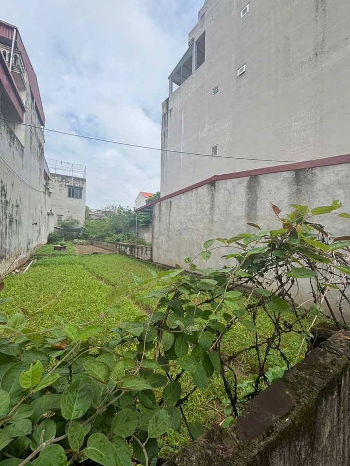 Đất nền 115m² tại đường Nguyễn Chí Thanh - Đầu tư sinh lời tuyệt vời!