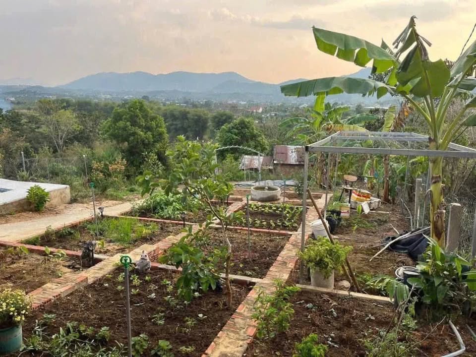 Nhà cấp 4 Lộc Châu Bảo Lộc 1000m² giá 1.2 tỷ - Đầy đủ tiện nghi