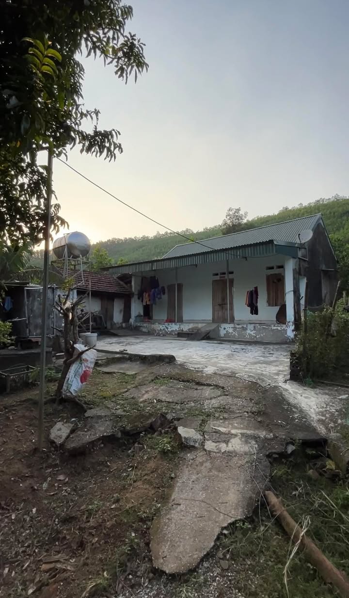 Đất nền nghỉ dưỡng Thôn Hồng Phong 3511m² giá 3.511 tỷ - Cơ hội đầu tư hấp dẫn!