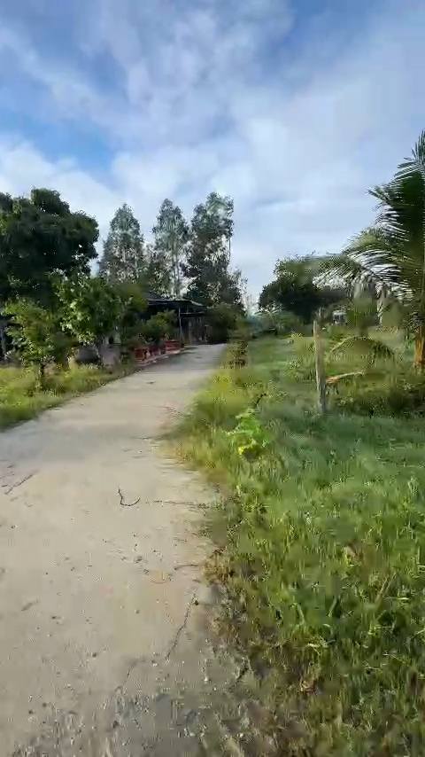 Nhà cấp 4 tại Phường Thanh Điền, Tây Ninh 1237m² giá chỉ 600 triệu - Cơ hội đầu tư tuyệt vời!