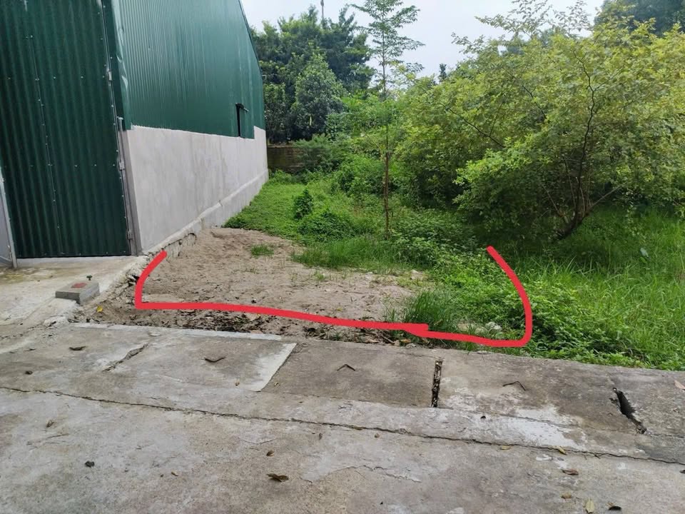 Đất Cổ Đông Sơn Tây 150m² giá 500 triệu - Chính chủ bán gấp!