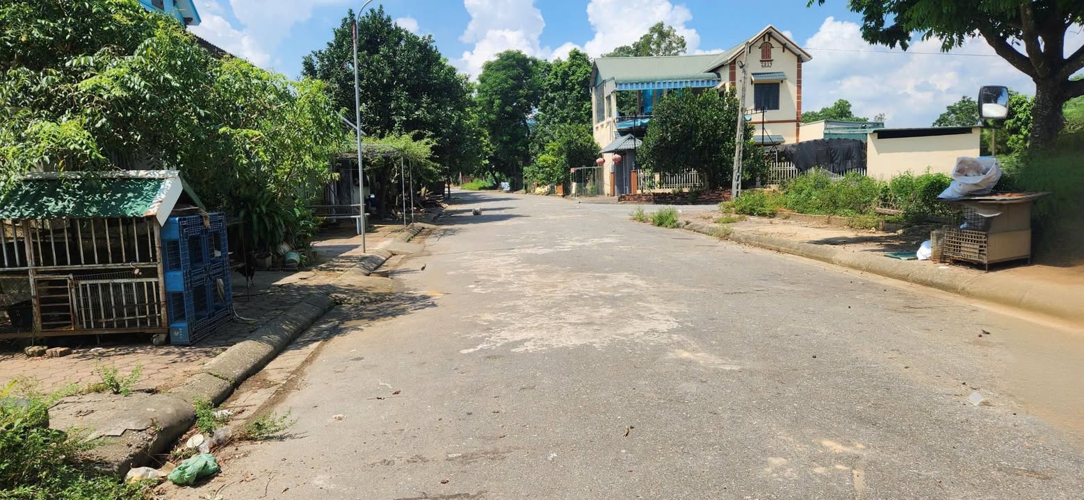 Đất nền Tái Định Cư Vai Réo Phú Cát 60m² - Đường thông thoáng, vị trí đắc địa!