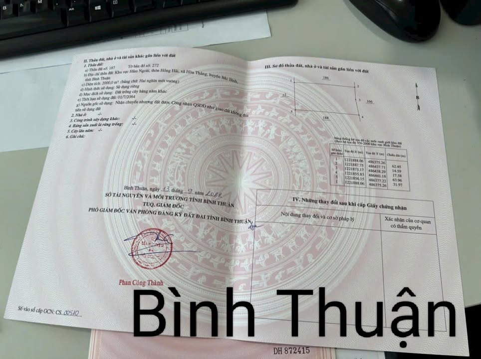 Đất nền 2000m² thôn Hồng Hải, Bắc Bình - Chính chủ bán gấp!