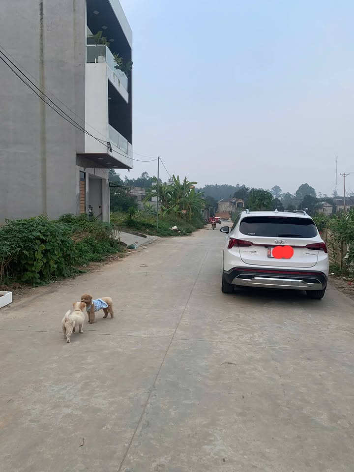 Đất nền Phong Châu, Phù Ninh 170m² giá 2.4 tỷ - Cơ hội đầu tư tuyệt vời!