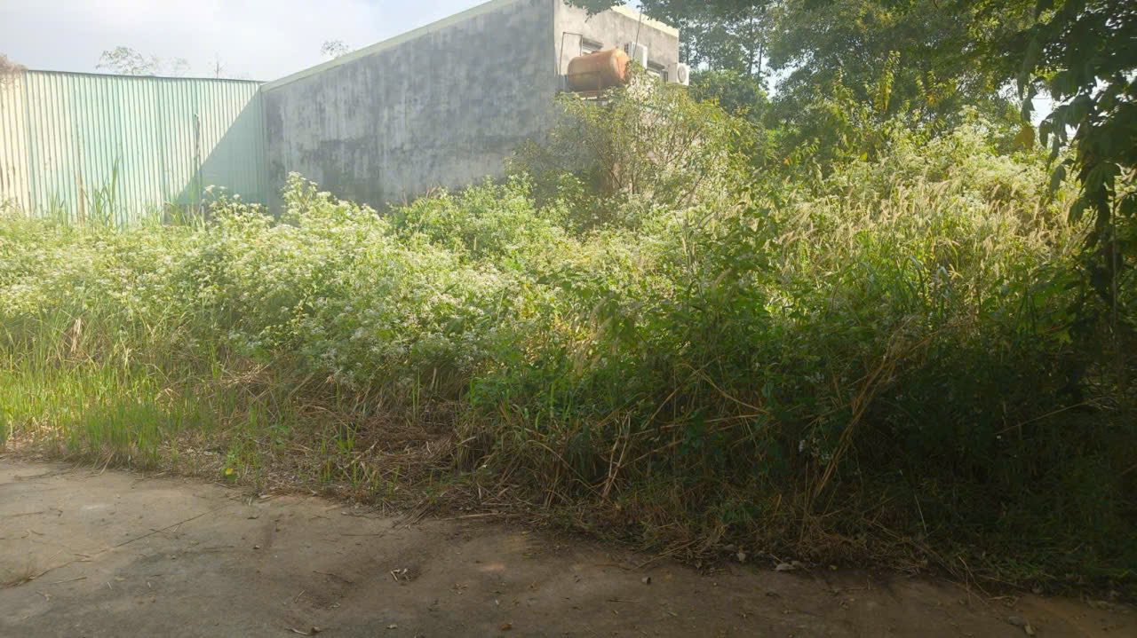 Đất thổ cư Tân Định, Quận 3 - 105m² giá 1.1 tỷ - Xây dựng tự do ngay!