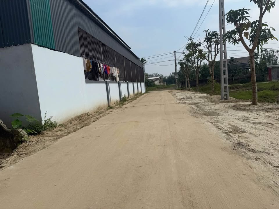 Đất nền Nghi Phong 145m² giá chỉ 3 tỷ - Vị trí đẹp tiện lợi!