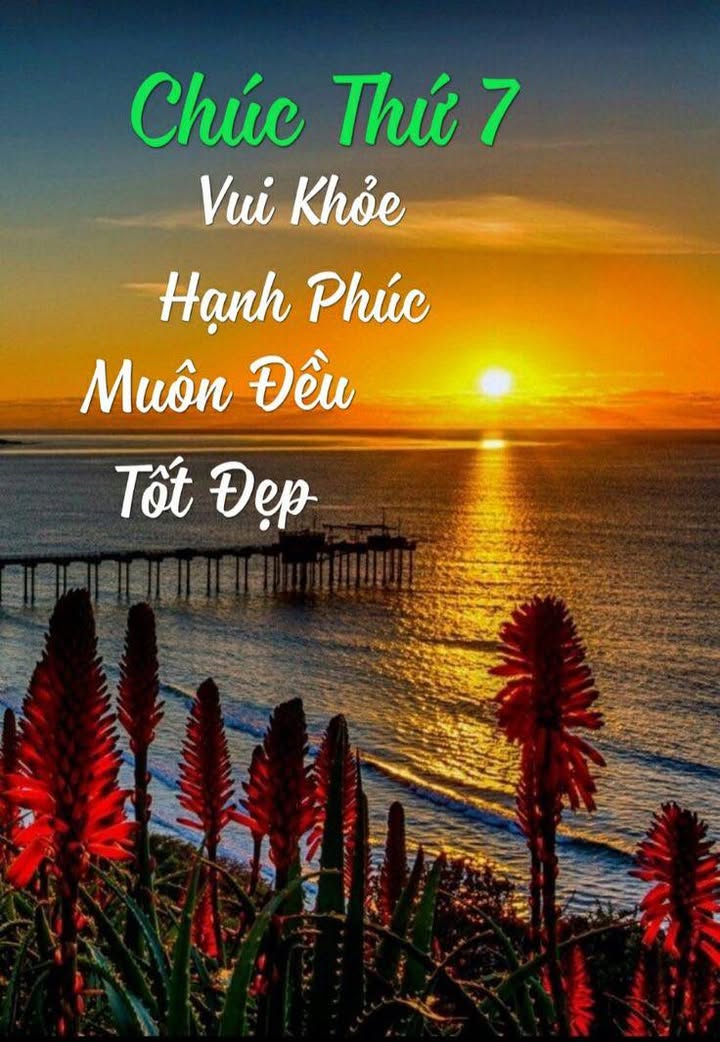 Đất nền Trảng Dài, Biên Hòa 2000m² giá 13 tỷ - Cơ hội đầu tư tuyệt vời!