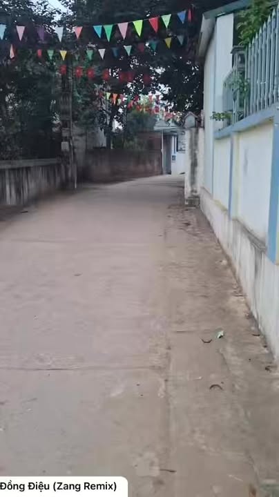 Đất nền Tích Giang Phúc Thọ 66m² giá 1.7 tỷ - Lô góc ô tô vào tận nơi!