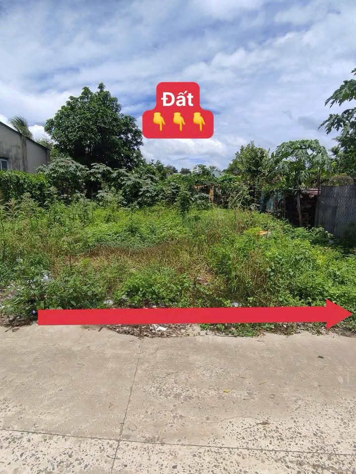 Đất nền Gò Dầu Tây Ninh 119m² giá 800 triệu - Bán gấp, vị trí đẹp!