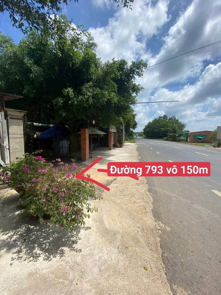 Đất nền Tân Bình Tây Ninh 17,000m² giá chỉ 8.5 tỷ - Mặt tiền đẹp, vị trí tiềm năng!