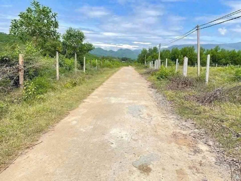 Đất nền Khánh Hiệp 500m² giá 270 triệu - Sổ đỏ chính chủ, đường bê tông 6m!