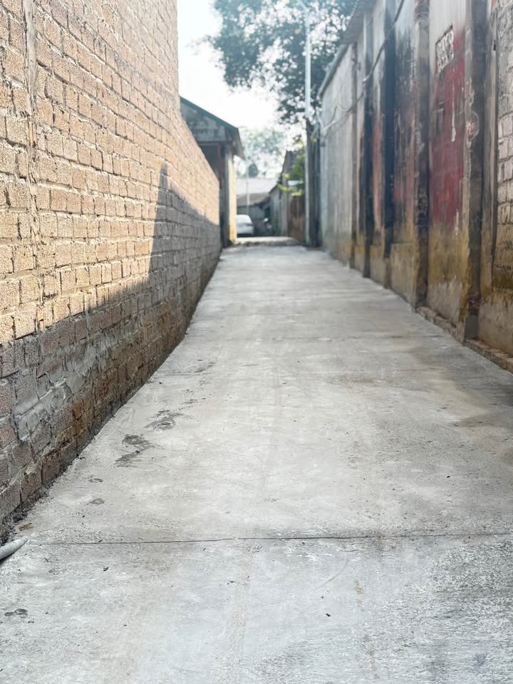 Đất ở Tùng Thiện, Sơn Tây 97.7m² - Sổ đỏ chính chủ, pháp lý rõ ràng!